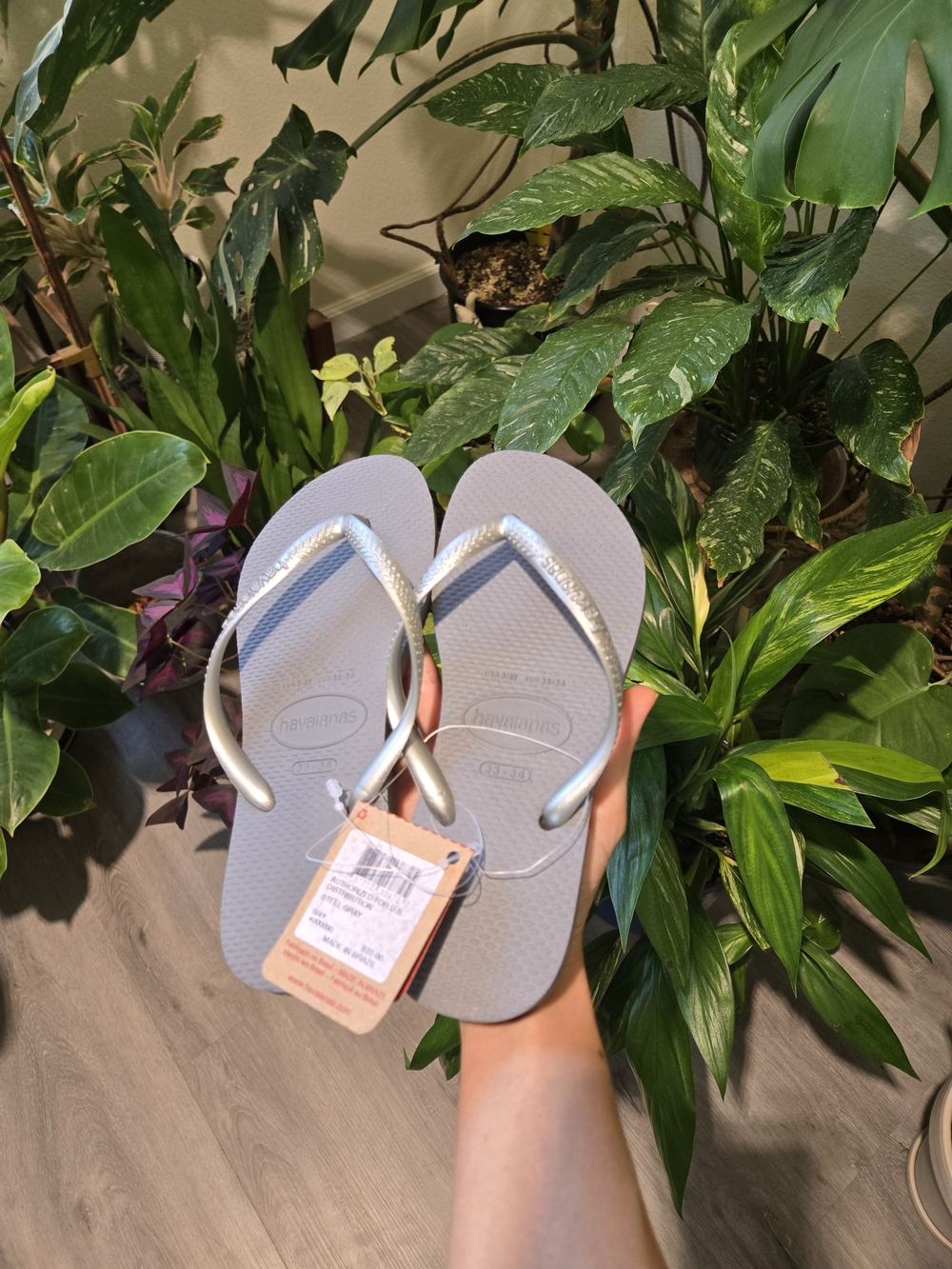 Havaianas Slim Flip Flops in Light Gray with Silver Straps